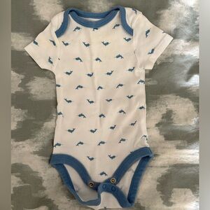 Set of 10 newborn onesies